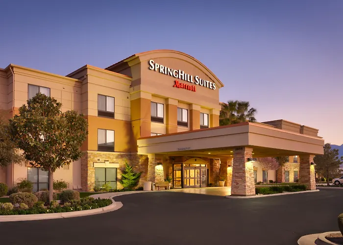 Hotel Springhill Thatcher